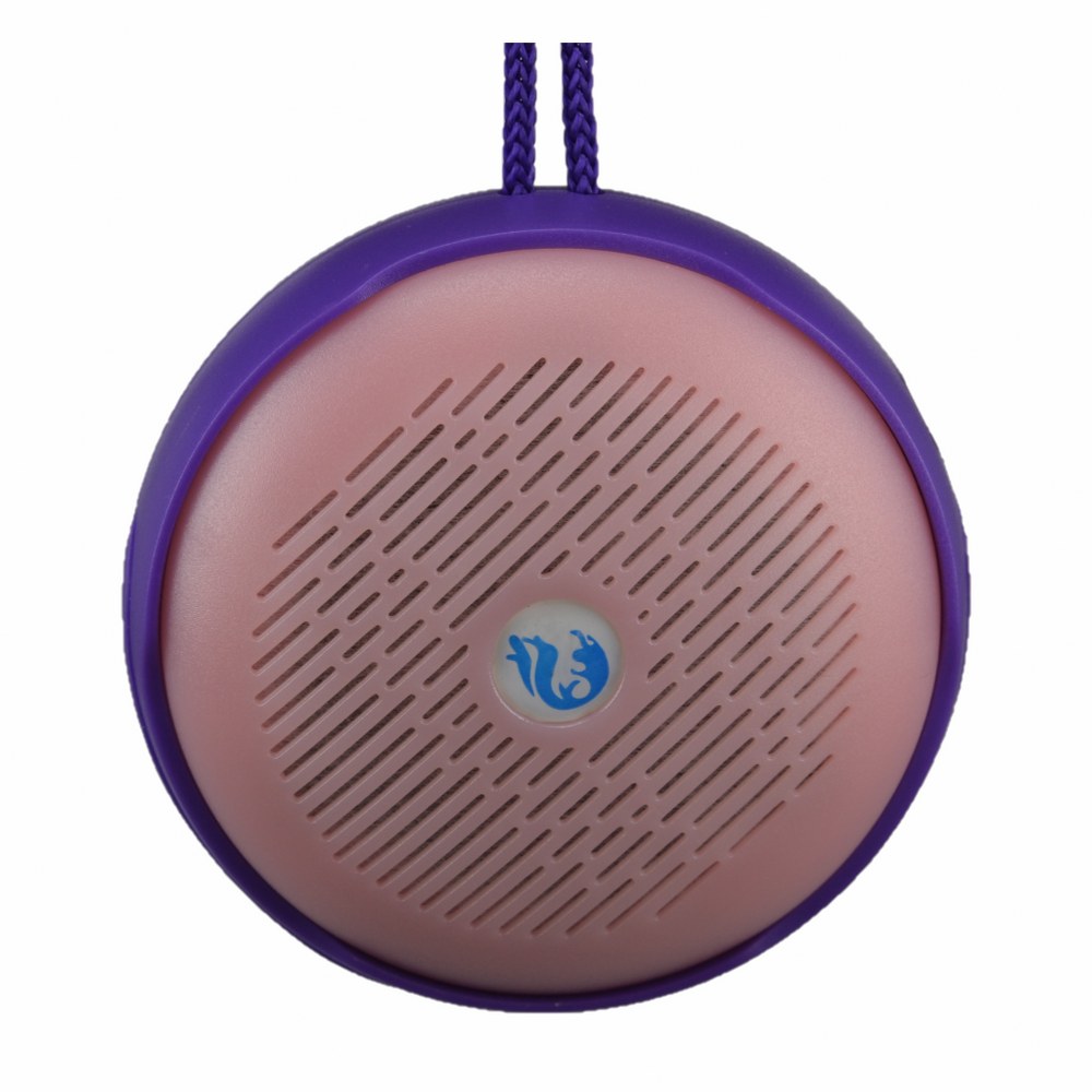 Bs607 Askı Aparatlı Bluetoot Kablosuz Hoparlör 