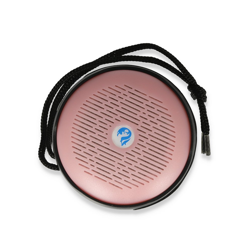 Bs607 Askı Aparatlı Bluetoot Kablosuz Hoparlör 