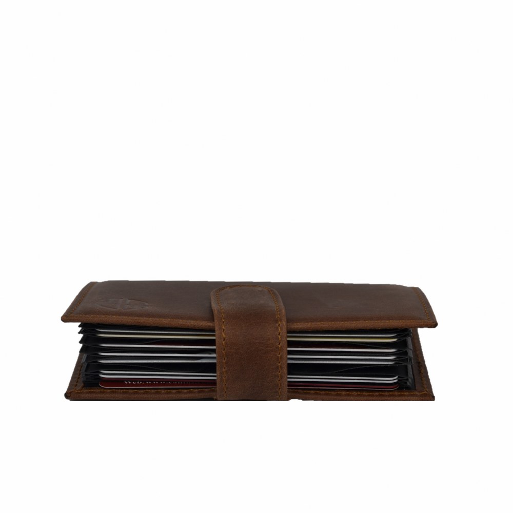 Dana Derisi Premium Minimal Kartlık Taba